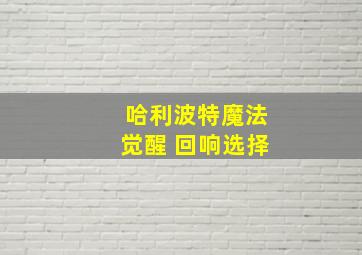 哈利波特魔法觉醒 回响选择